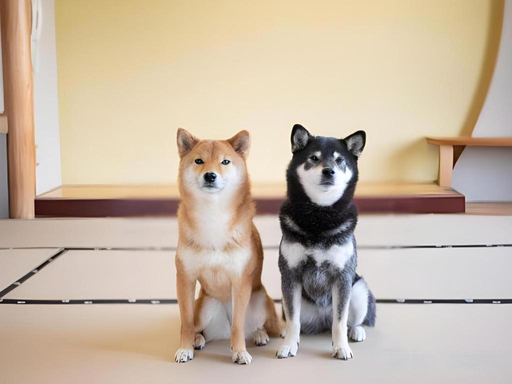 Izumigo Lake Hamanako Dog Paradise Hotel Hamamatsu Exterior foto